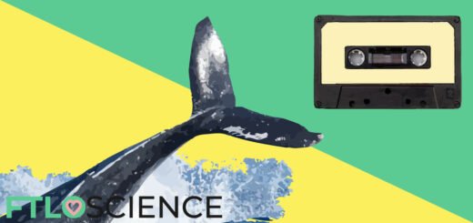whale tail cassette tape ftloscience post