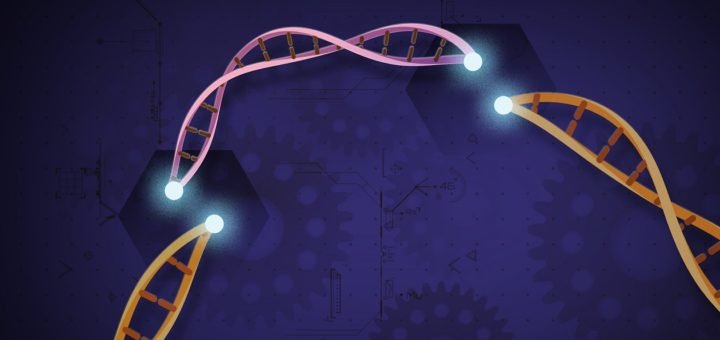 CRISPR gene editing engineering therapy