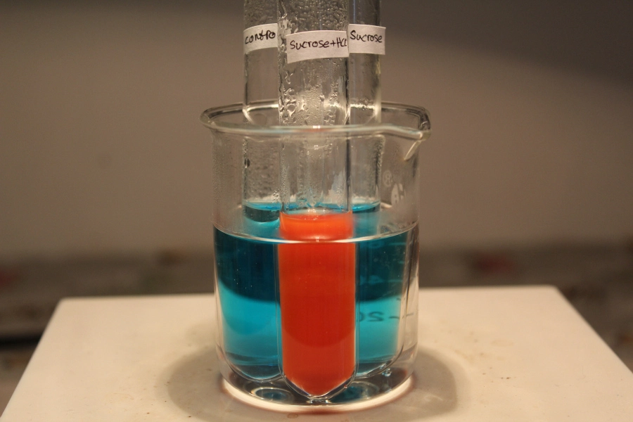 Demonstration Benedict's Test for Reducing Sugars FTLOScience
