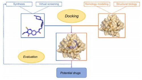 Molecular Docking: Bioinformatics in Drug Discovery | FTLOScience