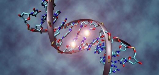epigenetics mechanism DNA methylation methyl groups binding to helix