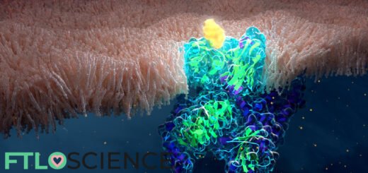 membrane bound GPCR ftloscience post
