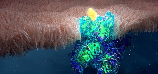 GPCR membrane bound receptor ligand