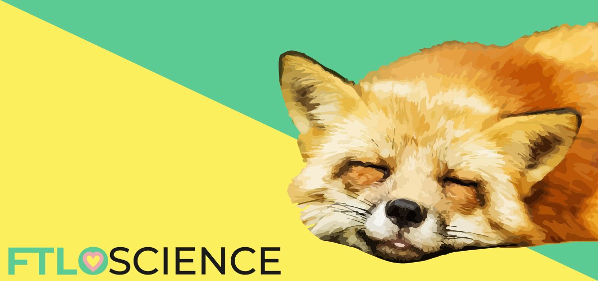 fox sleeping ftloscience post