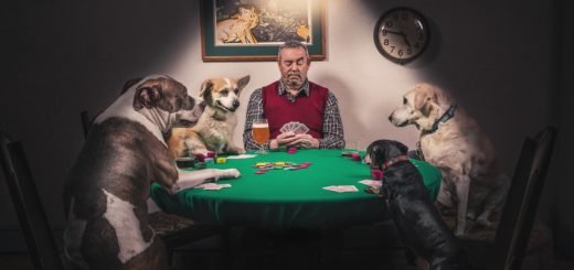 dogs playing poker with man