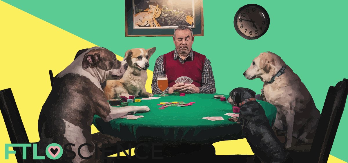 Dog poker on sale