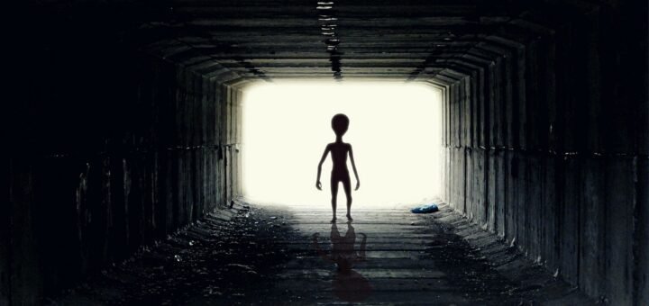 alien life form standing in corridor