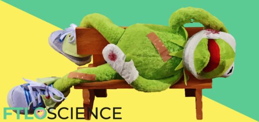 frog plushie kermit lying on bench ftloscience post