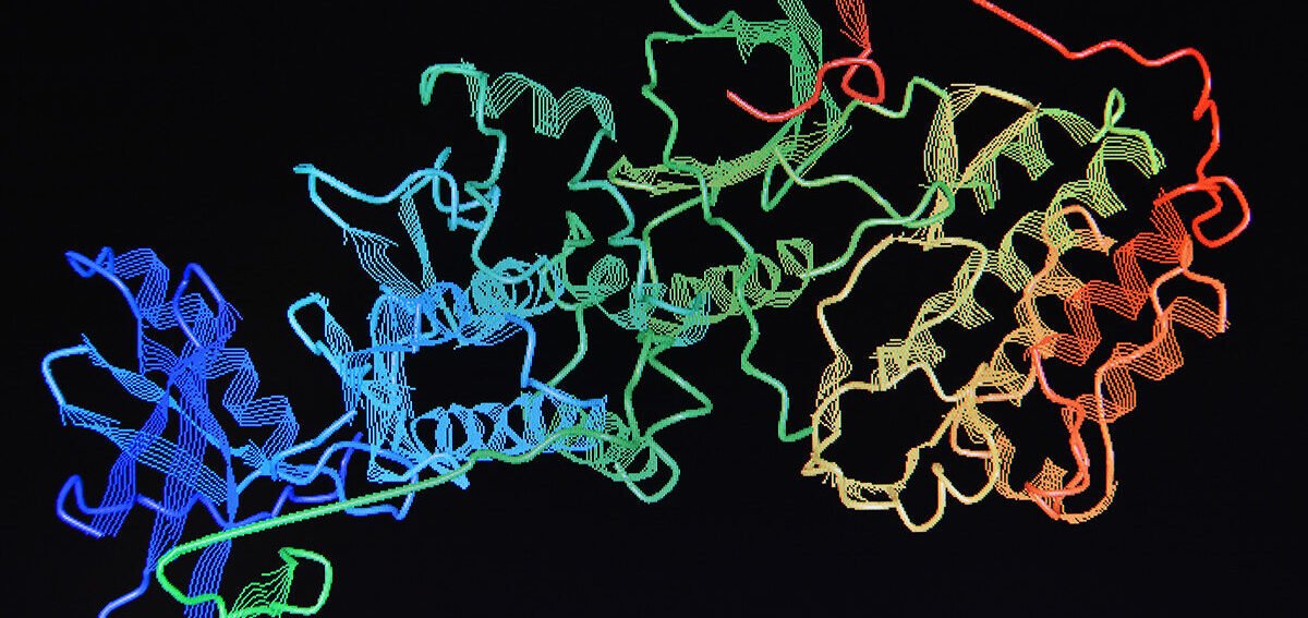 protein folding ribbons colorful