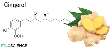 ginger gingerol chemical structure
