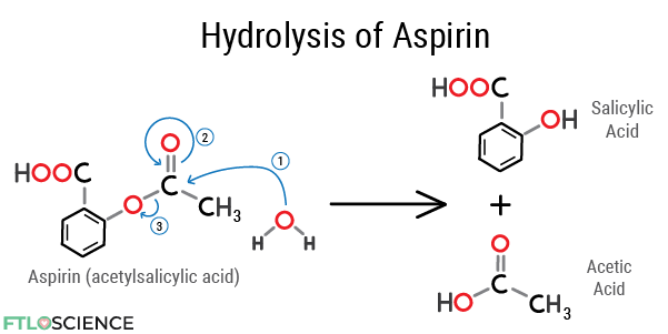 cyclic amide hydrolysis