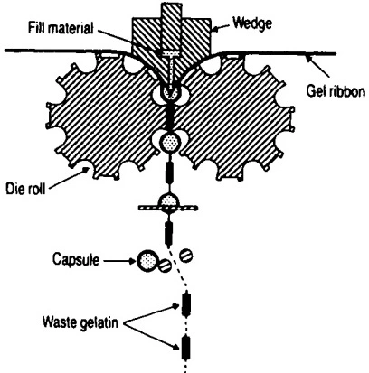 mechanism of the rotating die roll in a rotary die encapsulation machine