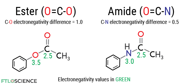 preventing hydrolysis ester vs amide