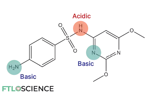 acidic and basic groups on sulfamethoxine solubility