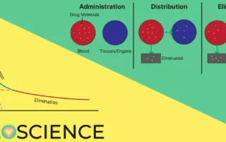 rate constant for two compartment drugs ftloscience post